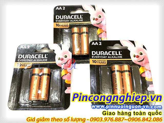 PIN-Alkaline-Duracell-AA-3-NEW.jpg