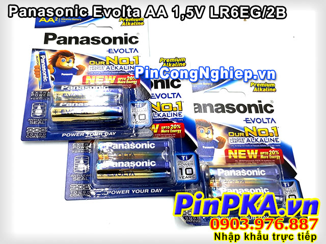 Panasonic-Evolta-AA-1.jpg