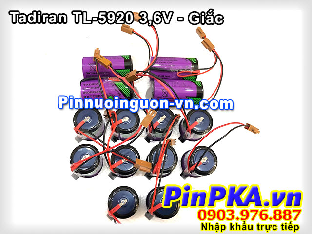 Pin-tadiran-TL-5920-jack-1---NEW-(pin-pka).jpg